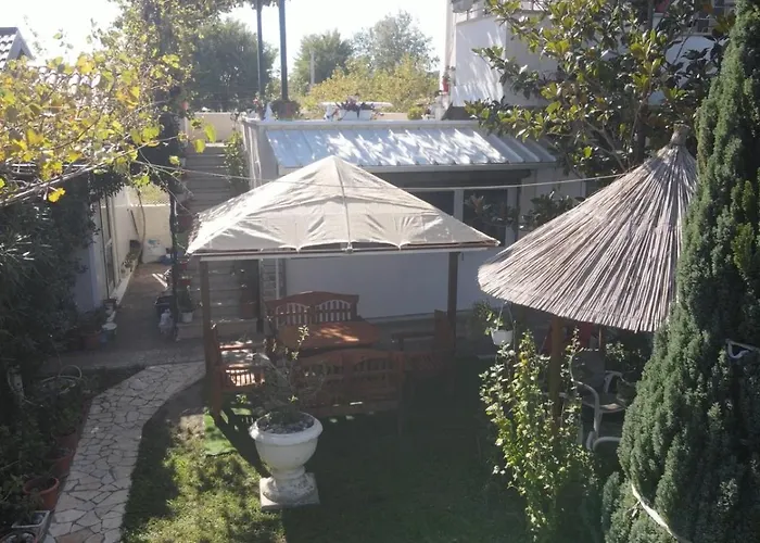 House, For Couple In 2nd Floor * Velipojë