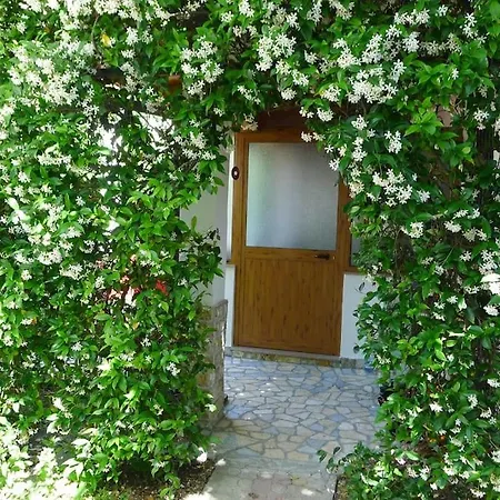 Daire House, For Couple In 2nd Floor Velipojë