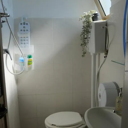 House, For Couple In 2nd Floor * Velipojë